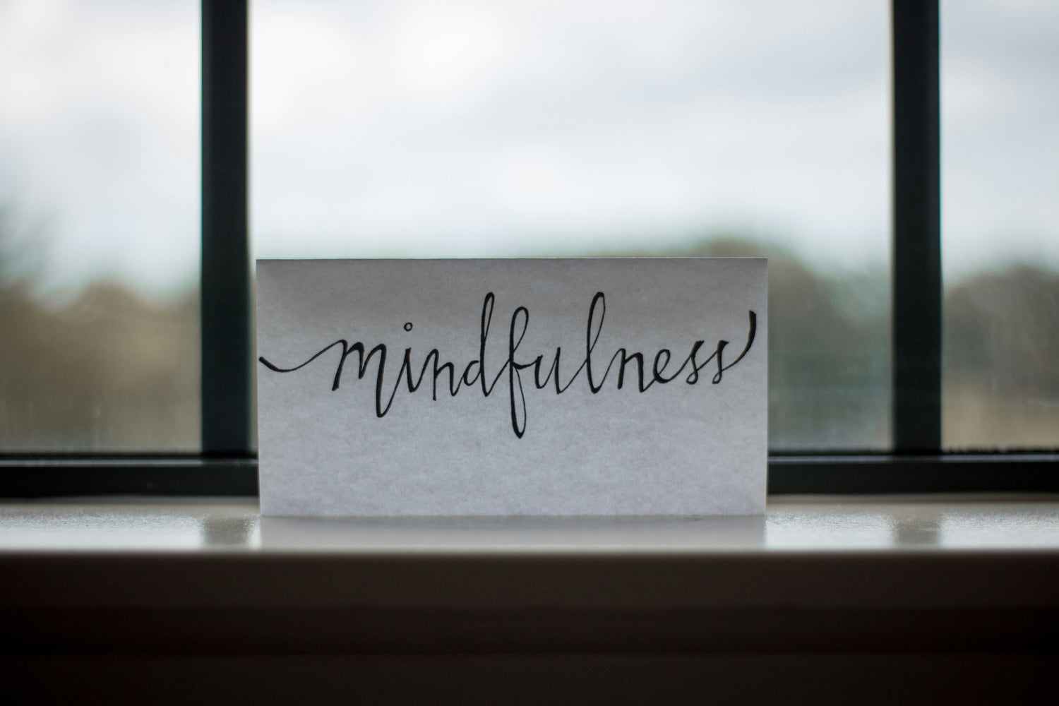 Wellness & Mindset Collection